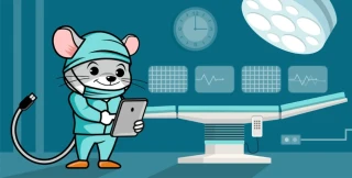 WorkingMouse tackles the eHealth protocol at Australia's Health Startup Weekend